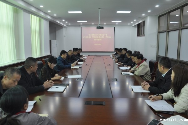 华体会游戏赞助里尔公司召开中层以上干部会议